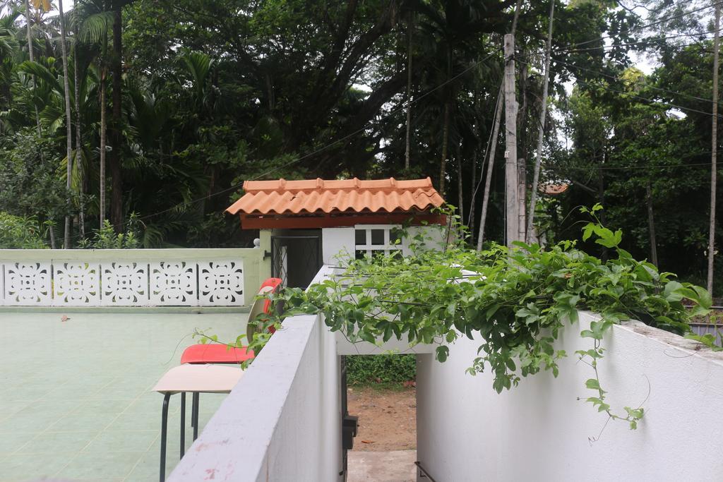 Jungle Guest House 高尔 外观 照片