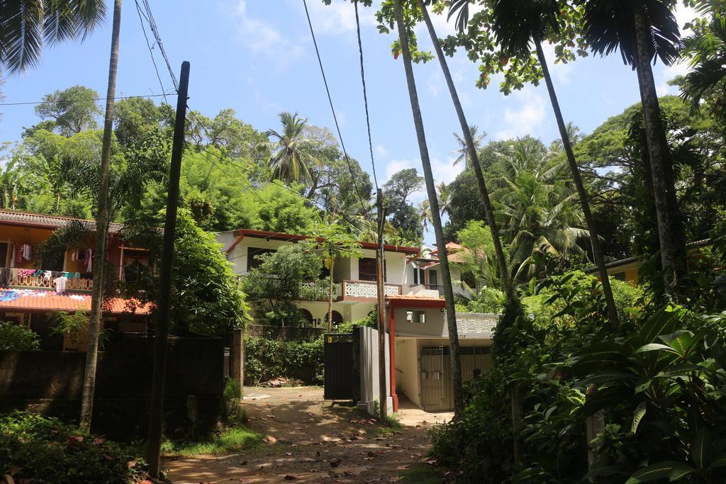 Jungle Guest House 高尔 外观 照片