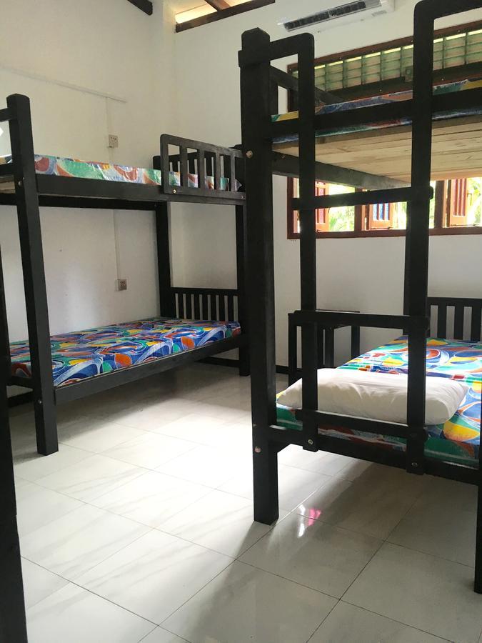 Jungle Guest House 高尔 外观 照片