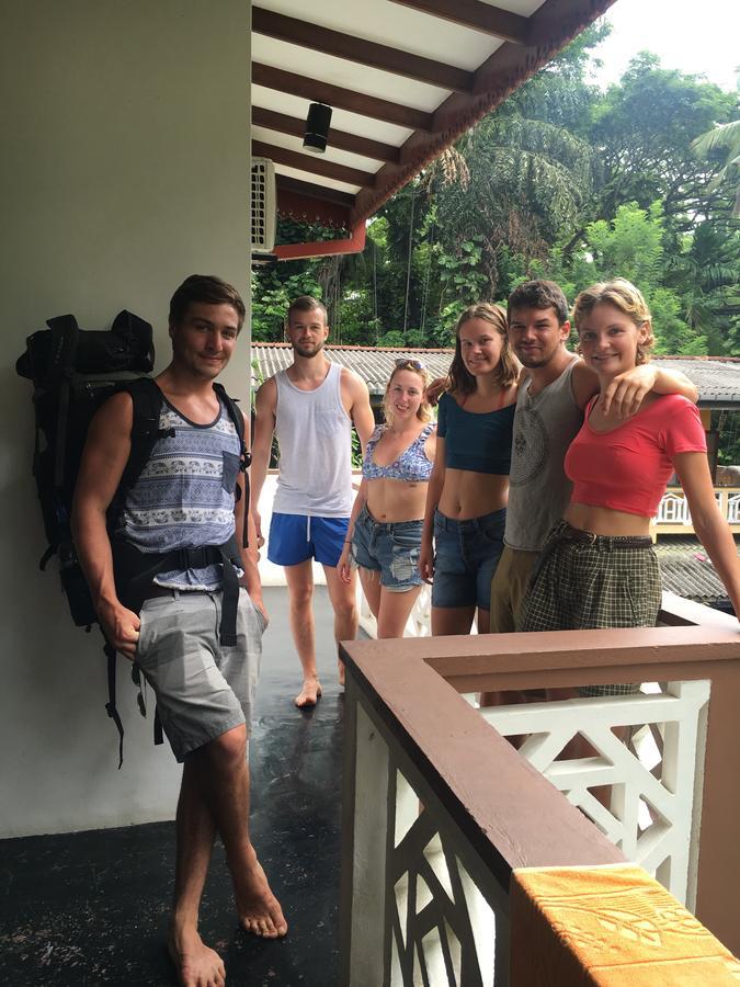 Jungle Guest House 高尔 外观 照片